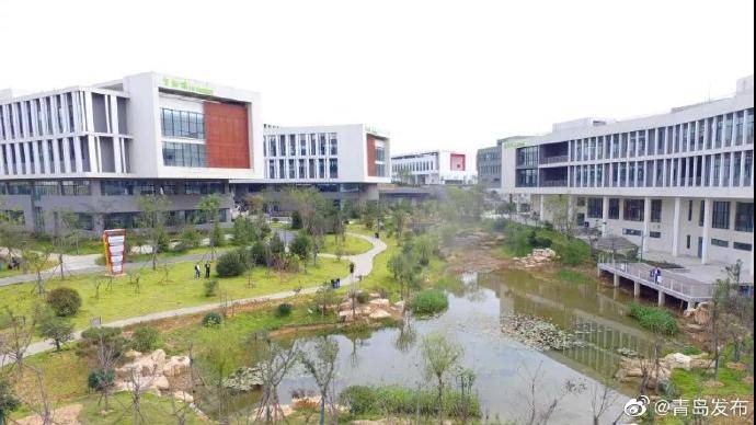 西海岸|可容纳3500余名师生！西海岸又一所高颜值学校投入使用