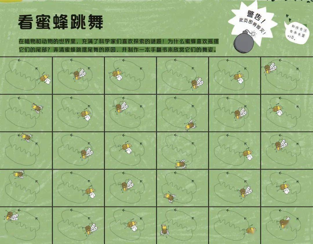 steam实验赠书挑战第12周看蜜蜂跳舞