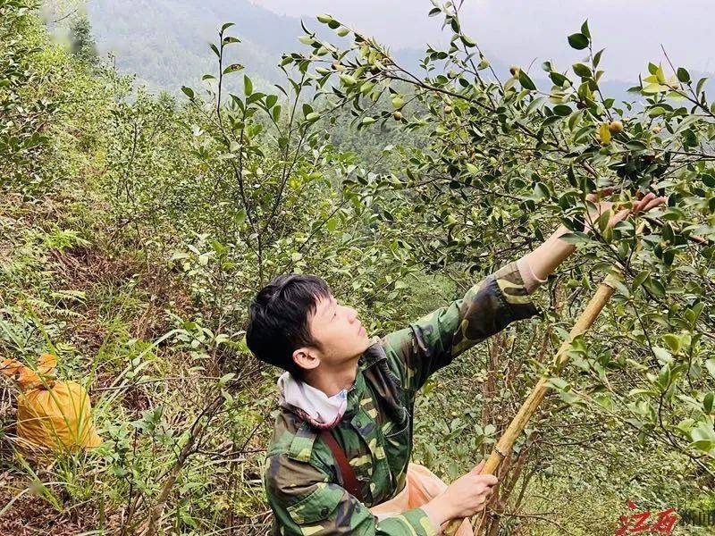 一段民警帮助留守老人上山采木梓的视频在遂川人的朋友圈广泛传发