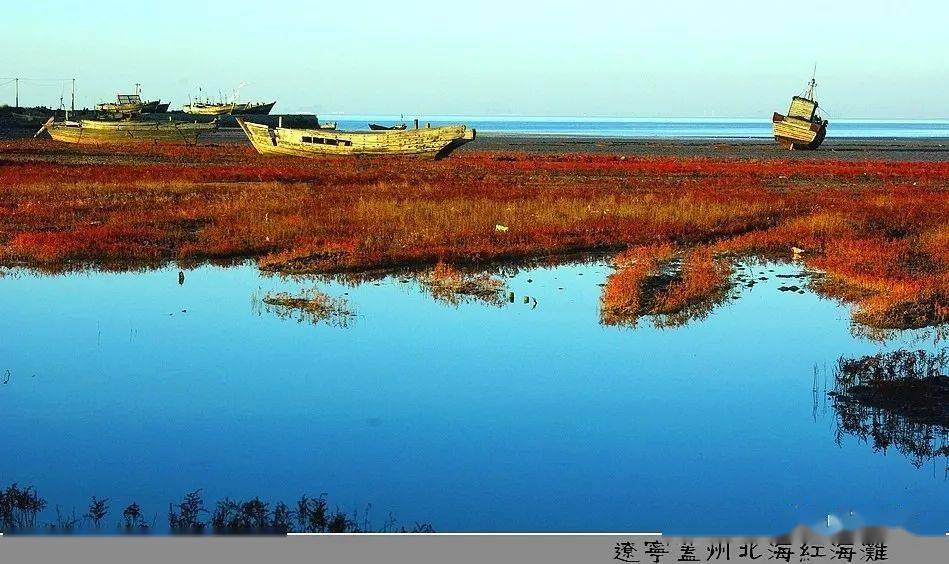 营口北海海洋公园位于辽宁省营口市北海新区盖州市滨海公路,以天然