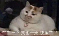 颜色|国货新品彩妆battle现场,完美日记输惨了