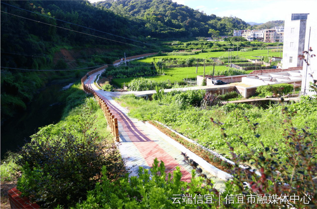 信宜金垌镇:风景就在家门前,让我们看到了农村的巨变