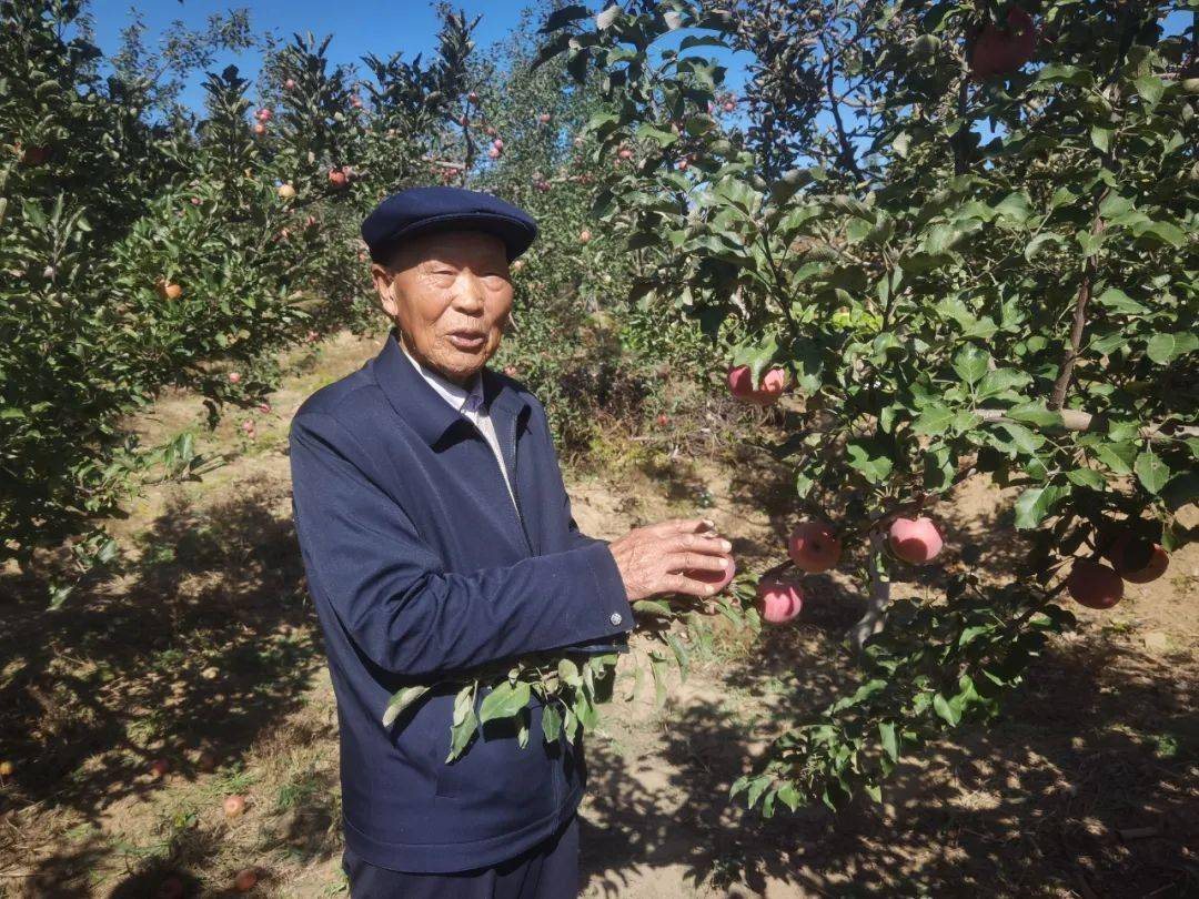 在采访中,张炳贵向媒体记者们介绍了自己当初在沙地