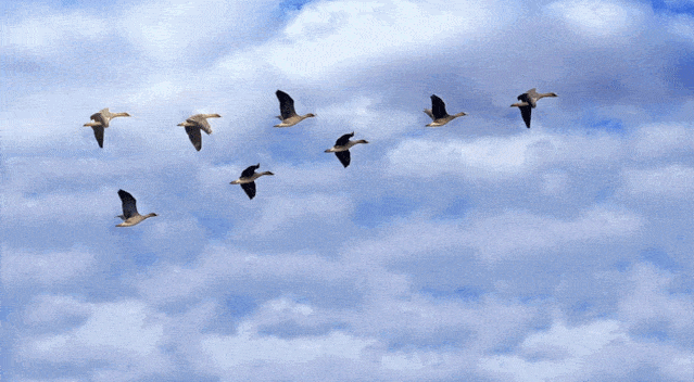 力天商学院第九期