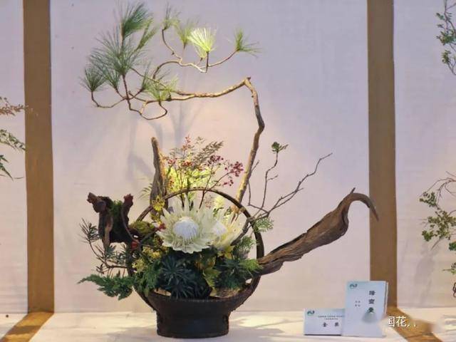 插花花艺竞赛展为第四届绿博会增姿添彩动态