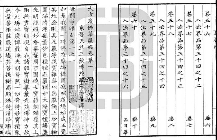 安人|高山杉|一本残书引起的一系列发现