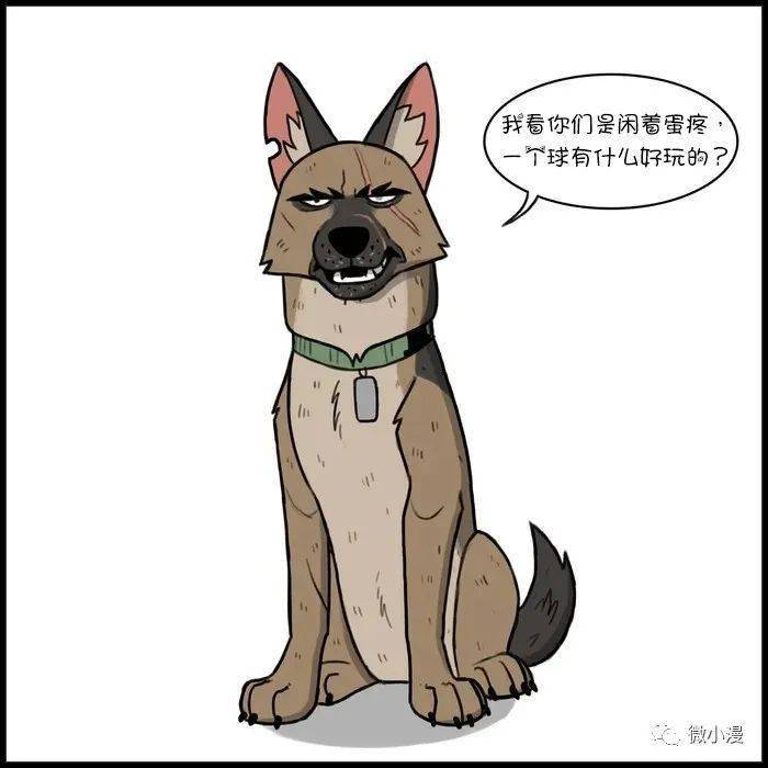 布叔:你们是闲着蛋疼吗?