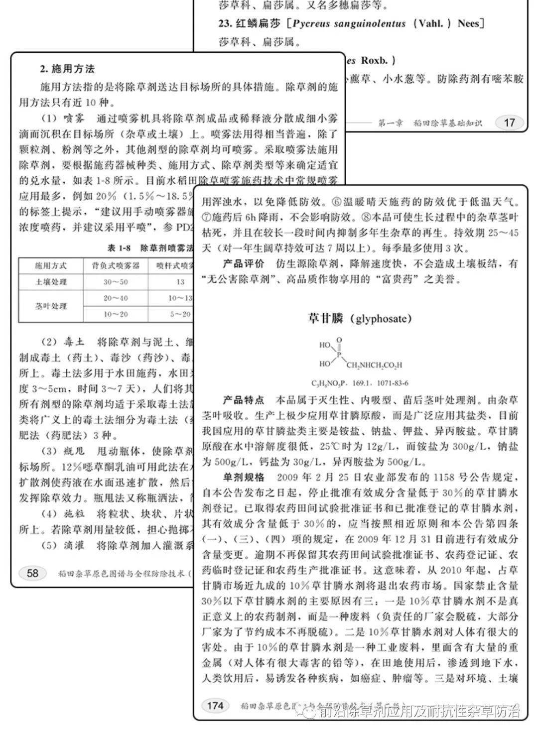 原色简谱_三原色简谱(3)