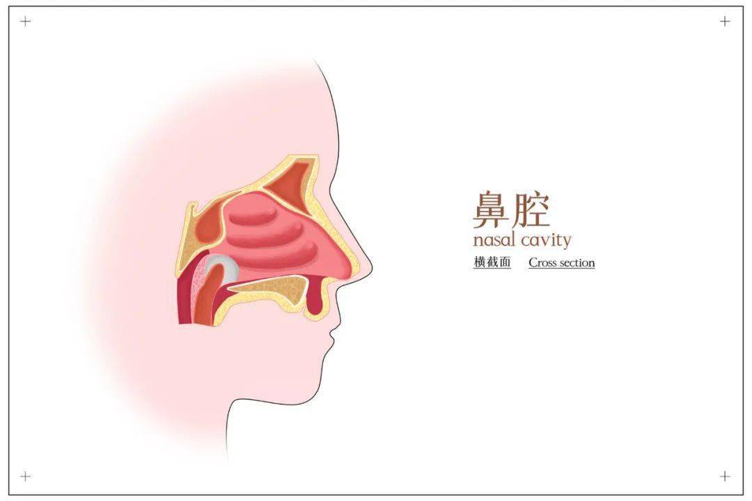 鼻涕从眼睛出来怎么办