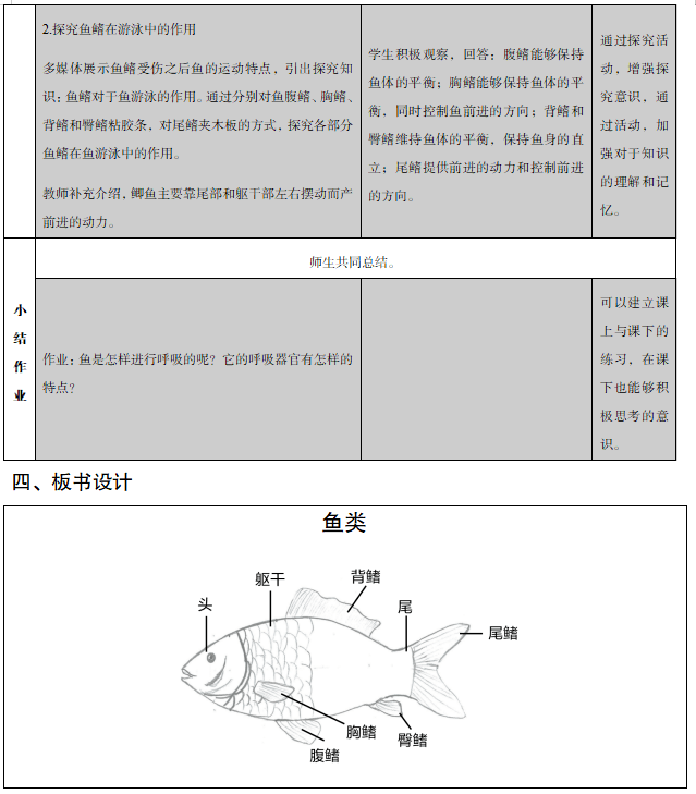 【试讲】第23天:初中生物《鱼类》