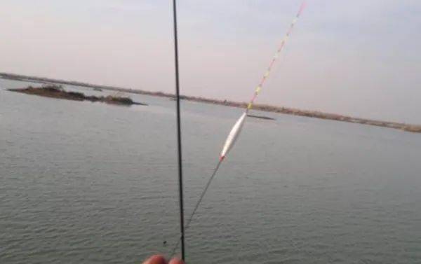14f5eceb537942c6a15fa05657db038f.jpeg