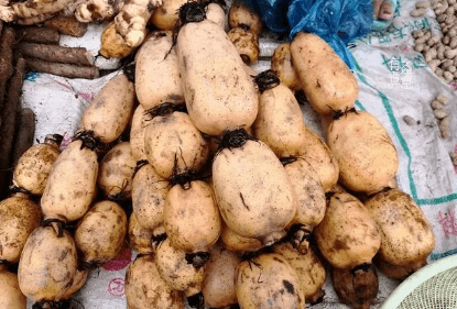 柿子|别忘给家人吃“五宝”，应季而食，顺应时节身体棒明日霜降