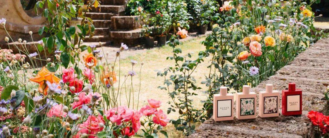 gucci bloom花悦香水全系列5款完整盘点介绍
