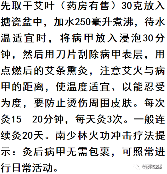 艾草曲谱_艾草简笔画(2)