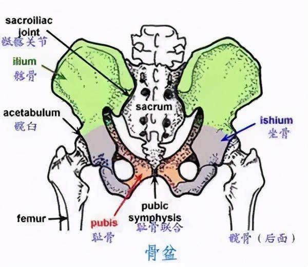 啥是致密性髂骨炎?