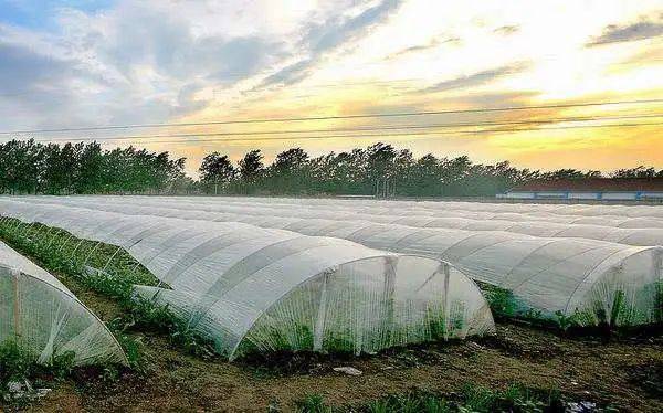 全省|今年前三季度甘肃省经济稳定向好，城镇居民人均可支配收入25064元