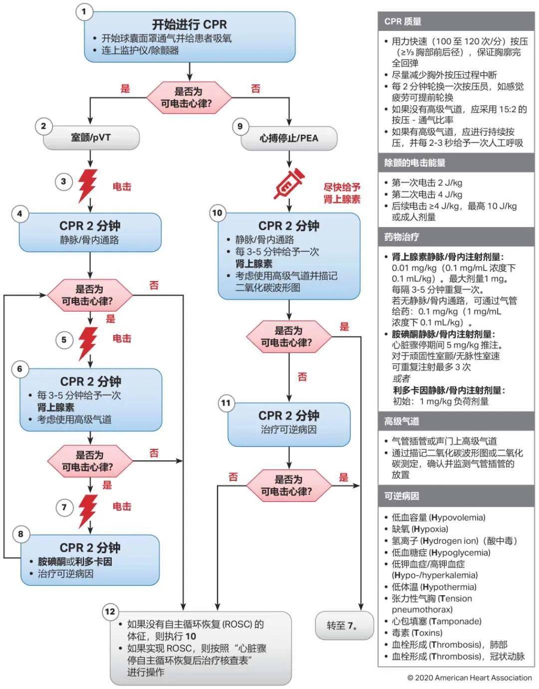 10图快速掌握aha最新版心肺复苏指南