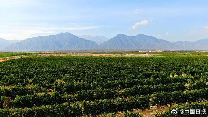 评上了！宁夏贺兰山东麓荣获“世界十大最具潜力葡萄酒旅游产区”称号_权属