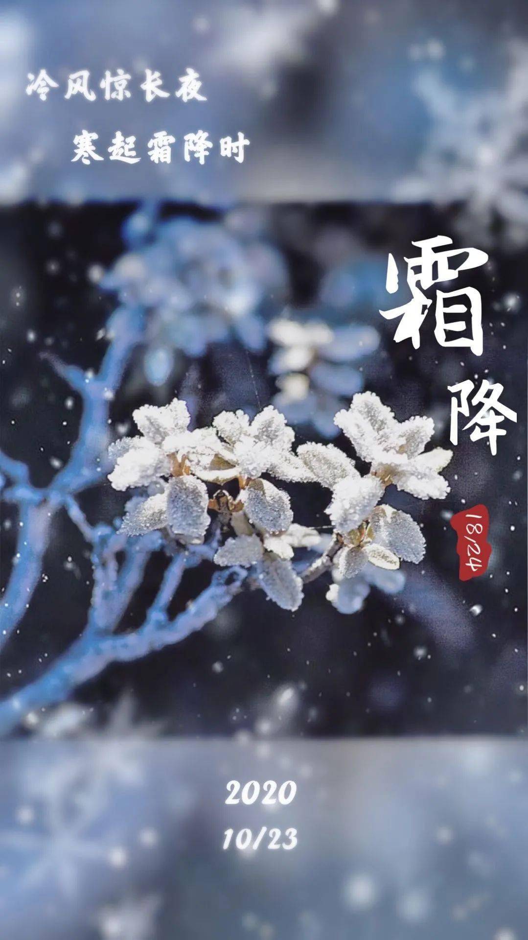 今日霜降‖一叶知霜降,一雨感秋深