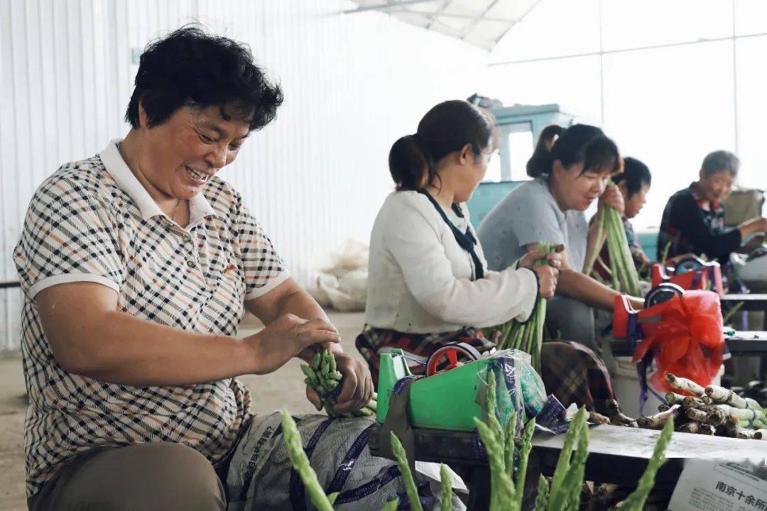 十行百星富民之星脱贫攻坚战的急先锋强村富民路的领路人张宏珍