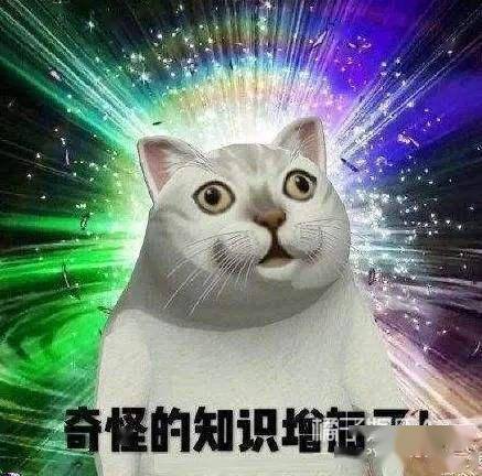 周震|原创浪姐团综有花少2内味?周震南称像变形计,徐峥表情值得编入姐学