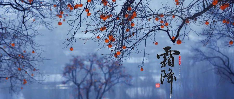 秋深山有骨,霜降水无痕丨今日霜降