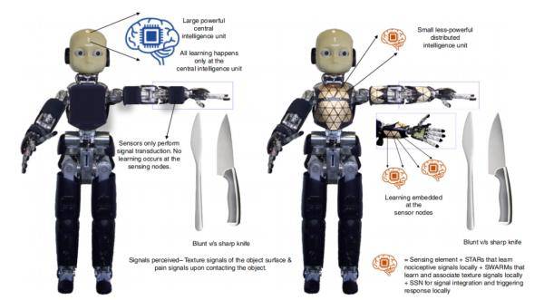当机器人拥有痛觉后......