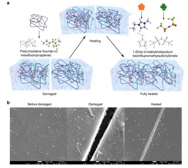 当机器人拥有痛觉后......