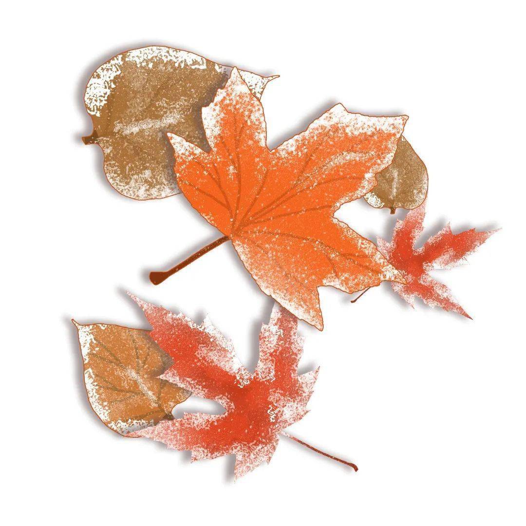 经典评书排行_霜降|秋已暮露成霜经典评书要开场