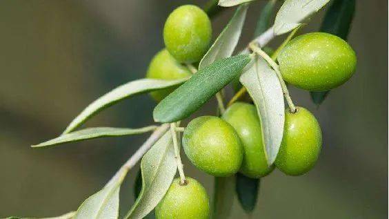 皮肤|测评｜全网好评的科颜氏高保湿，亲测告诉你是不是实至名归！