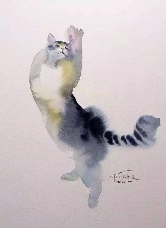 把猫画得很出彩的水彩画家
