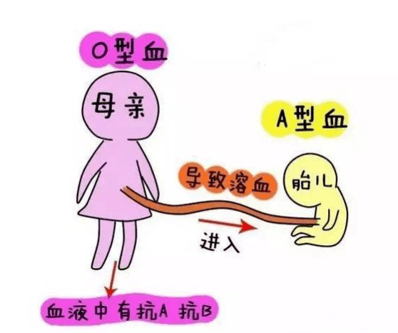 59d15944c4c6470caf5dcac0c5264e17.png