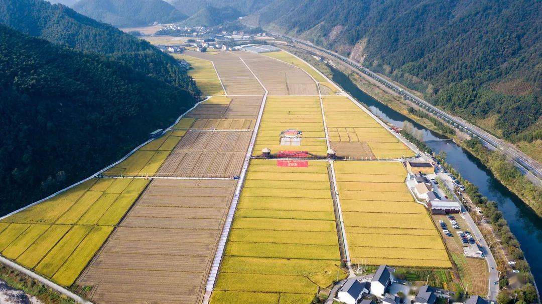 大田园,大丰收,大讲堂,大促销,一场"丰收节"勾画乡村