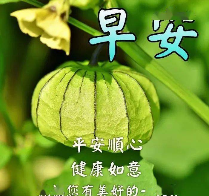 周末新版早上好表情动态图片清晨微信暖心问候祝福语精选