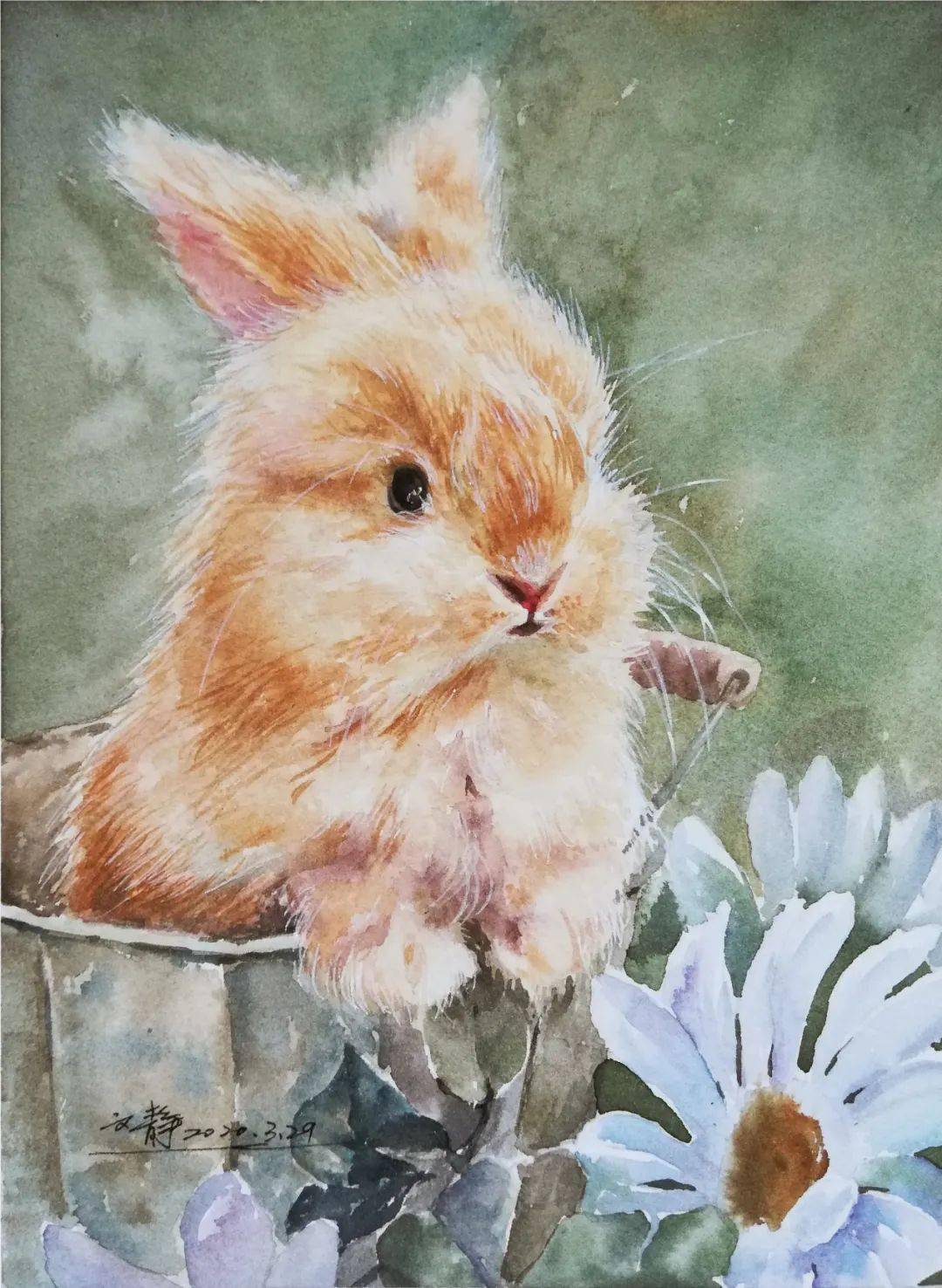 水彩画教程 | 可爱兔子绘画教程(内含详细步骤)