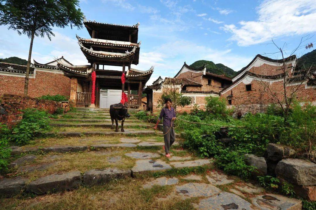 兰溪勾蓝瑶寨隐匿于万山丛中,居住有蒋,欧阳,黄,何等13姓,至今延续40