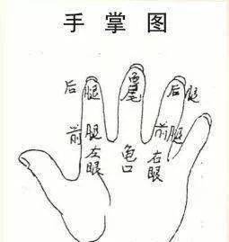 这个掌图是我们的左手.