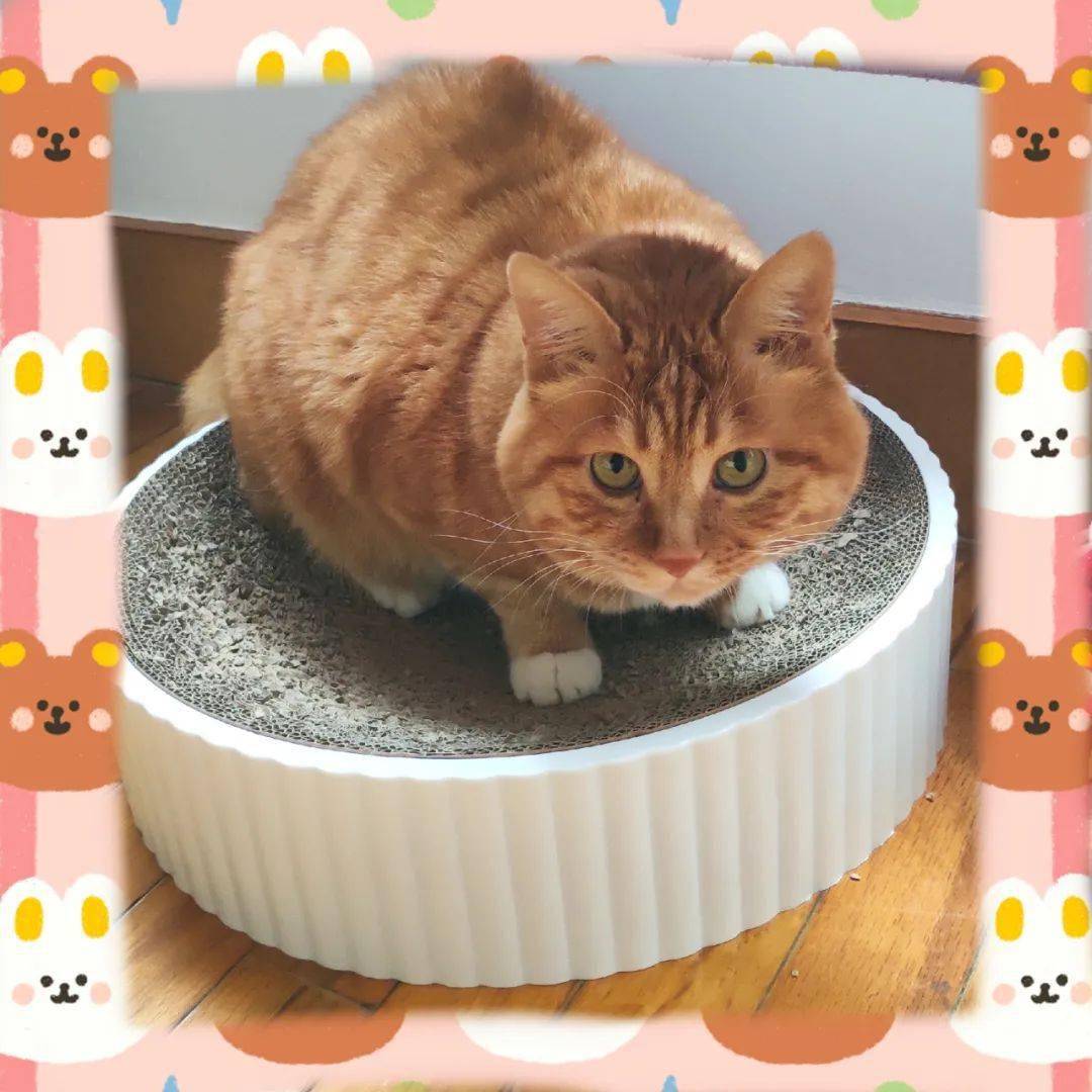 夏天|十月小结 | 这里有一份秋日温柔待查收!