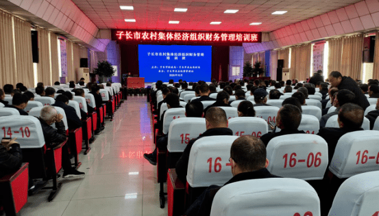 子长市经济总量_子长市图片
