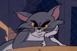 夏天|十月小结 | 这里有一份秋日温柔待查收!