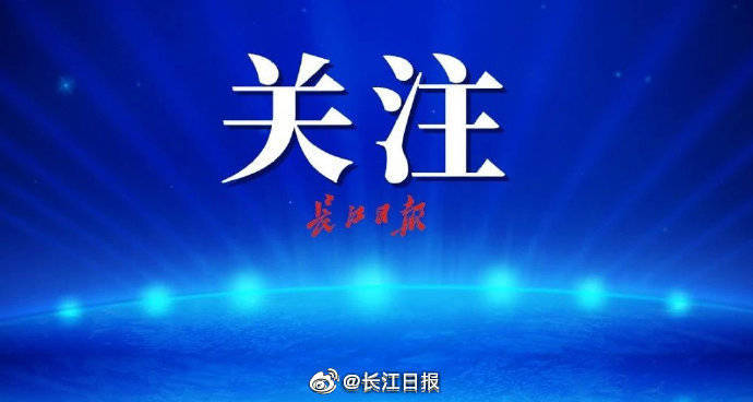 上半年武汉gdp_武汉数字经济占GDP比重约40%上半年江城人均阅读电子书13本