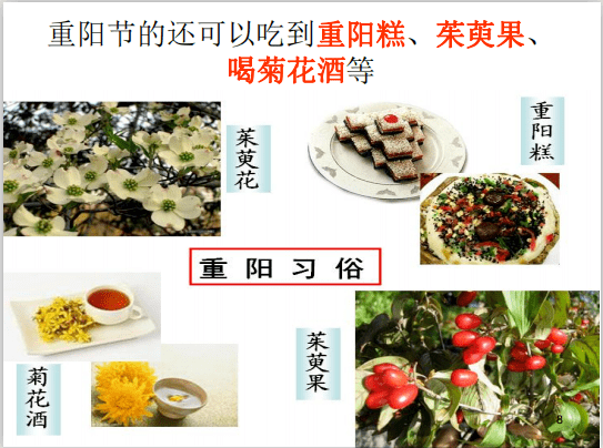 关注人口老龄化的手抄报_人口老龄化手抄报(3)