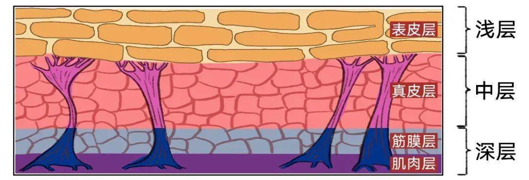 效果|她也太会玩了…