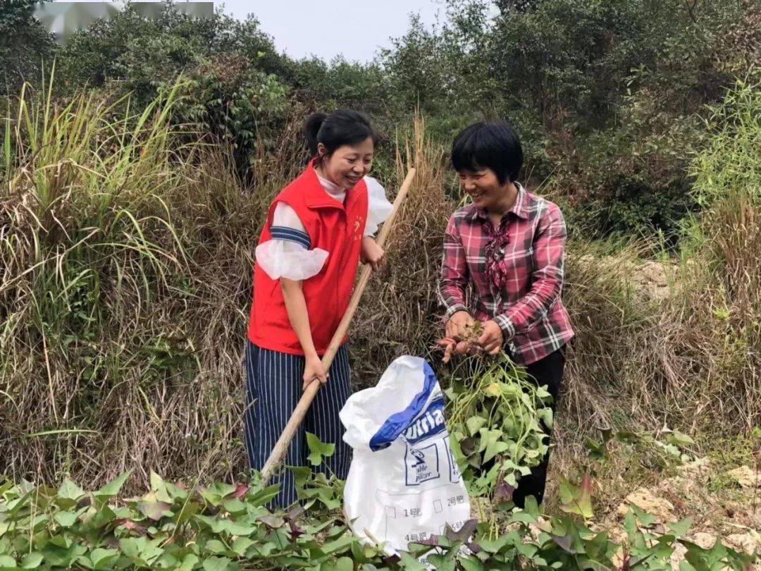 脱贫先进典型汪青莲用双手播种美好生活