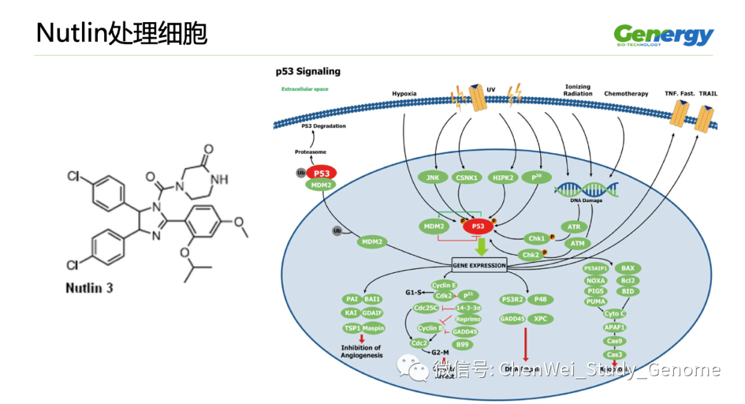 细胞疗理仪是什么原理_雾疗是什么