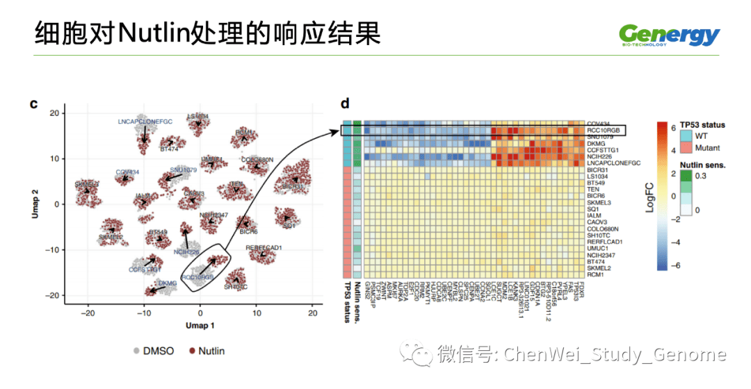 细胞疗理仪是什么原理_雾疗是什么