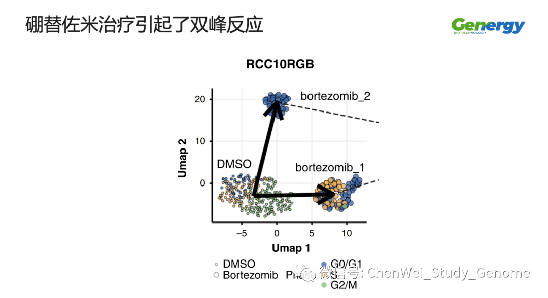 细胞疗理仪是什么原理_雾疗是什么