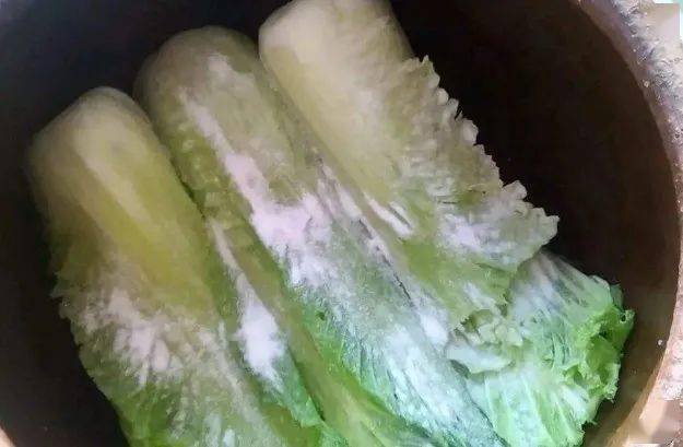 泡菜不酸加盐 61c8fc9318a546a58d96bb999926c870.jpeg
