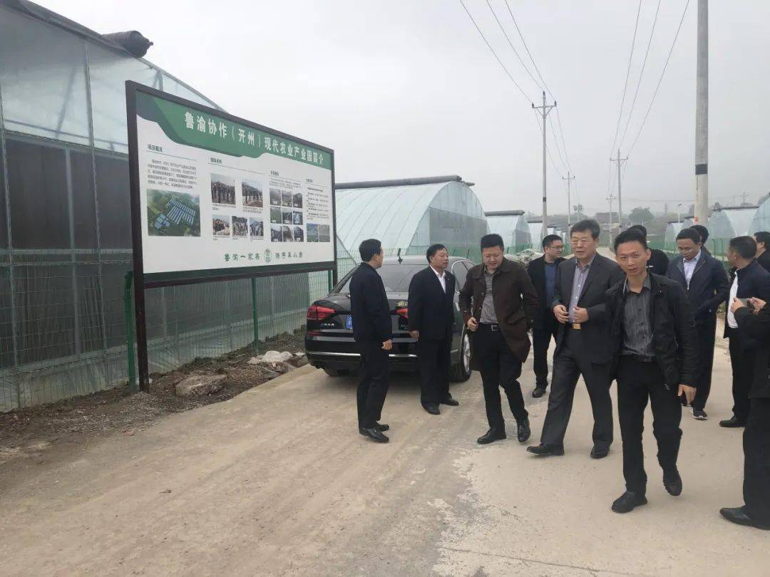 2020年潍坊各县市区g_2020潍坊风筝节图片