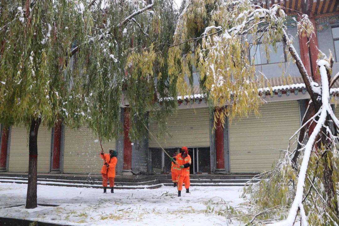 临夏县:最美雪景里的最"美景"